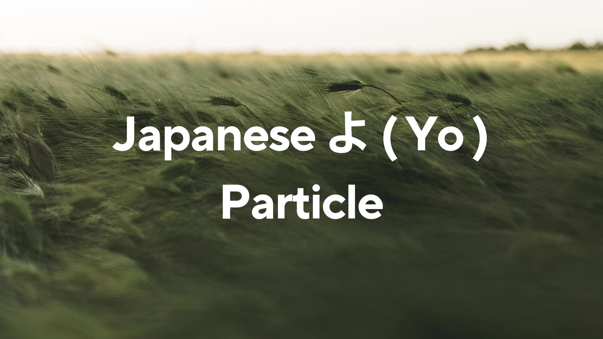 How to Use the よ (yo) Particle in Japanese: Adding Emphasis and New Information