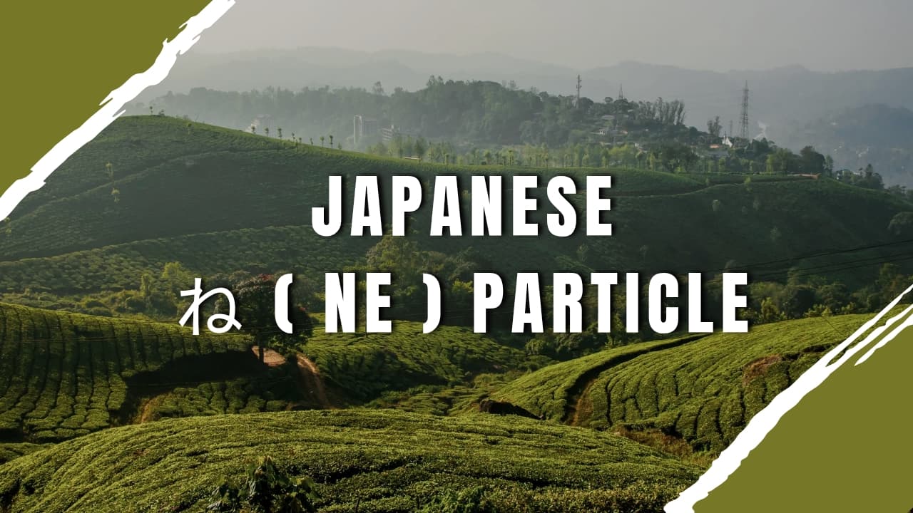 Mastering the ね (ne) Particle in Japanese: Agreement, Softness, and Natural Conversation