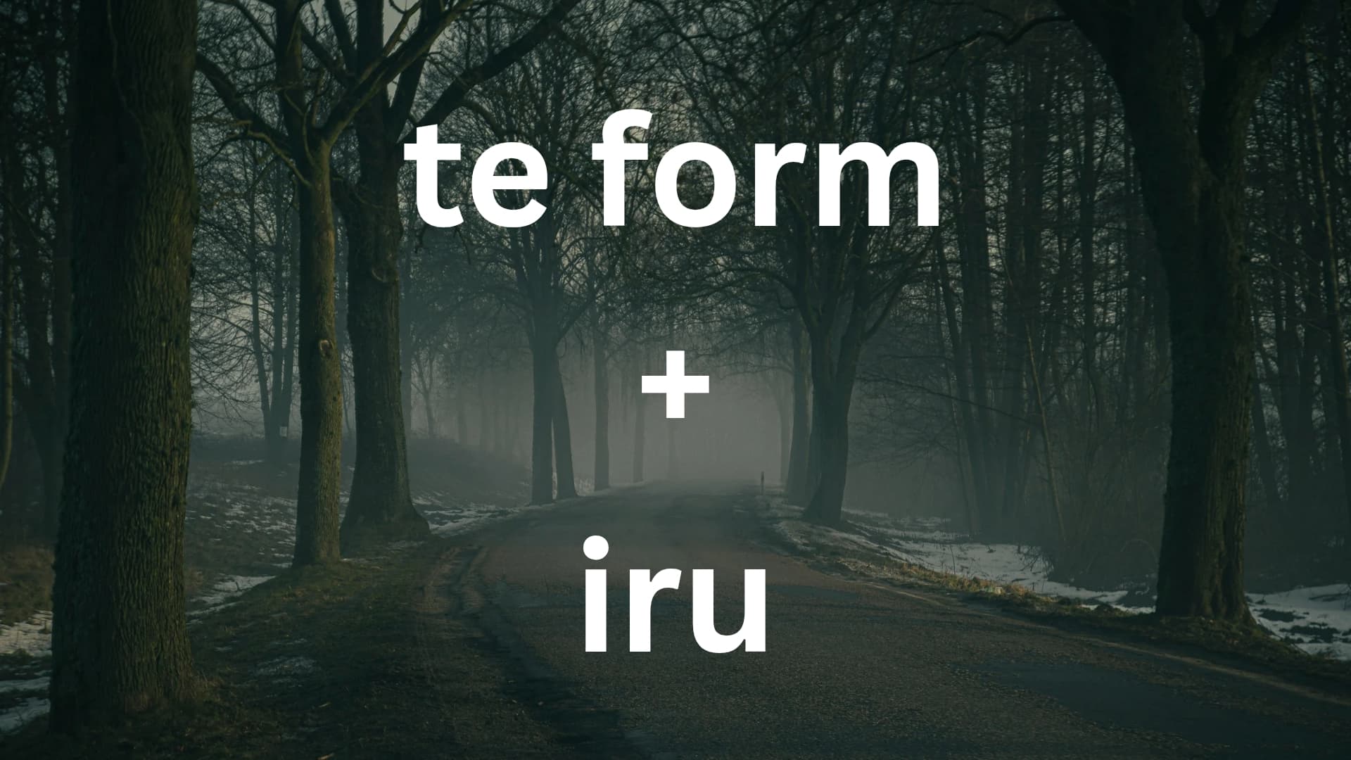 JLPT N4 Grammar te form iru Explained | Ongoing Actions and States in Japanese
